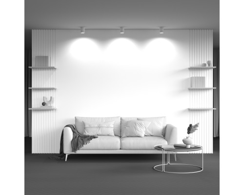 Потолочный светильник Technical C012CL-01W