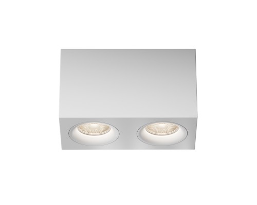 Потолочный светильник Technical C013CL-02W