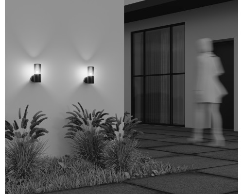 Настенный светильник (бра) Outdoor O432WL-01GF