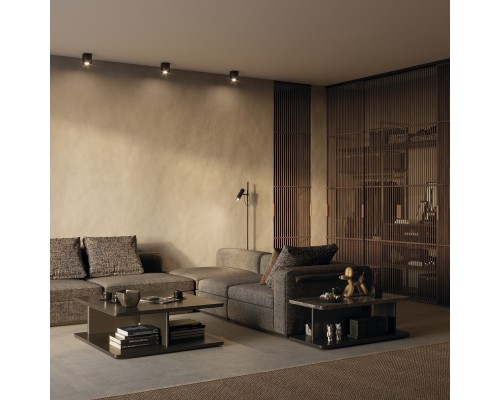 Потолочный светильник Technical C017CL-01B