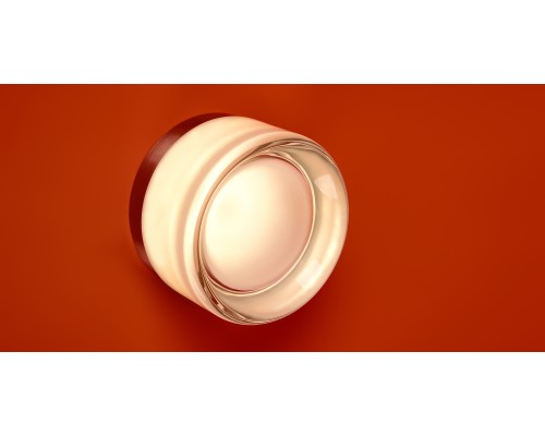 Настенный светильник (бра) Freya FR5603WL-L8TR