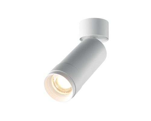 Потолочный светильник Technical C055CL-L12W3K-Z-W