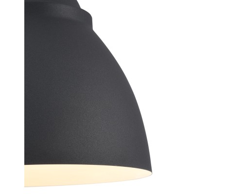 Подвесной светильник Maytoni P534PL-01B