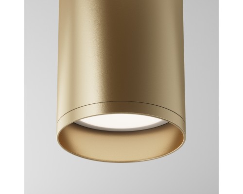 Потолочный светильник Technical C010CL-01MG