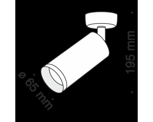 Потолочный светильник Technical C017CW-01G