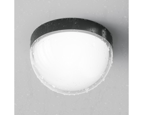 Потолочный светильник Outdoor O438CL-L12GF3K