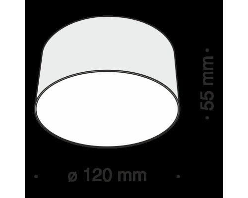 Потолочный светильник Technical C032CL-L12W4K