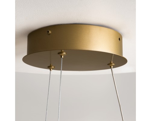 Подвесной светильник Maytoni MOD241PL-L60BSK