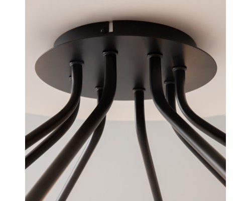 Потолочный светильник Maytoni MOD620CL-16B