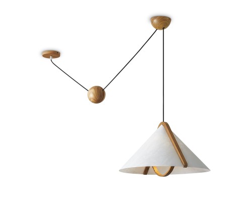 Потолочный светильник Freya FR5554CL-01T