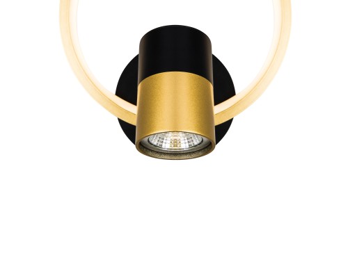 Настенный светильник (бра) Freya FR6074WL-L12GB