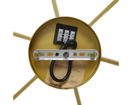 Люстра Freya FR5474PL-06G