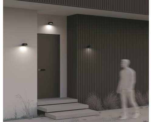 Настенный светильник (бра) Outdoor O443WL-L12GF3K