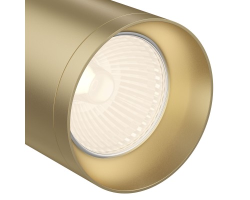 Потолочный светильник Technical C017CW-01MG