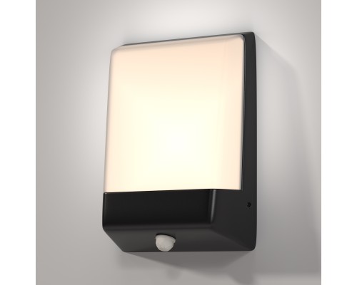 Настенный светильник (бра) Outdoor O448WL-L9GF3KSR