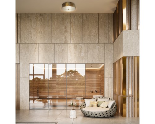 Потолочный светильник Maytoni MOD096CL-05G