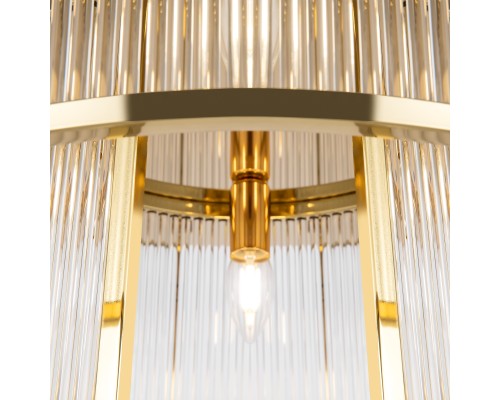 Потолочный светильник Maytoni MOD174CL-06G