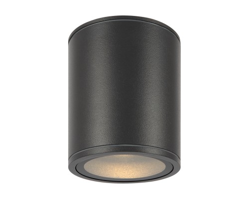 Потолочный светильник Outdoor O306CL-L12GF