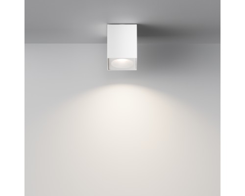 Потолочный светильник Technical C030CL-01W