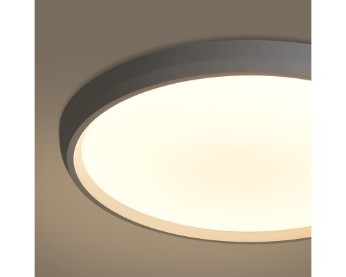 Потолочный светильник Freya FR6211CL-L24W