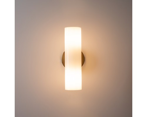 Настенный светильник (бра) Freya FR5368WL-02BS