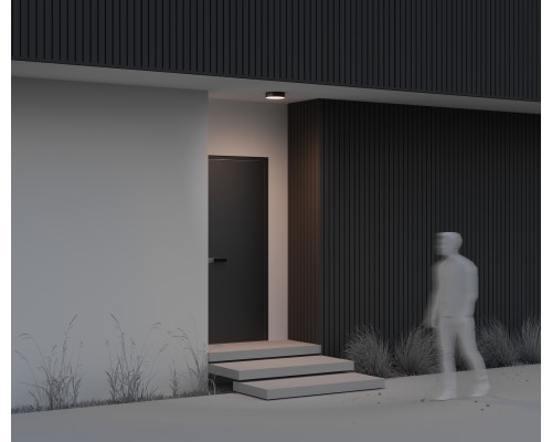 Потолочный светильник Outdoor O431CL-L30B3K