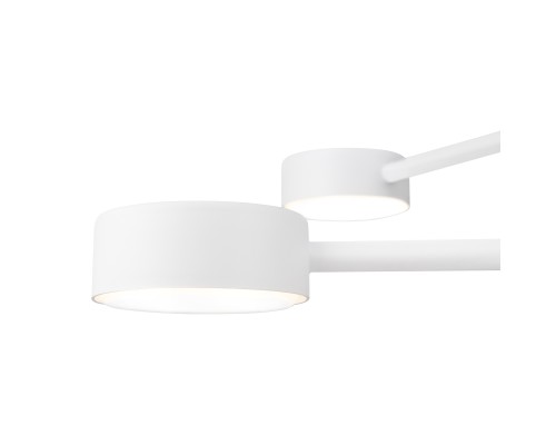 Потолочный светильник Freya FR5363CL-04W