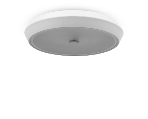 Потолочная светодиодная люстра Freya Cells FR10012CL-L24W