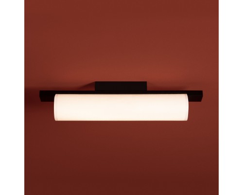 Потолочный светильник Freya FR5625CL-L20B