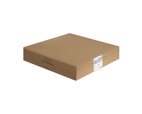 Потолочный светильник Freya FR5457CL-L36B