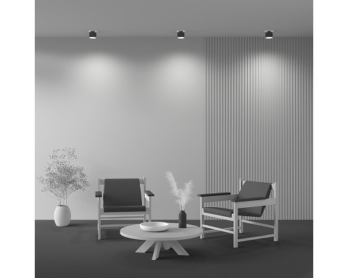 Потолочный светильник Technical C009CW-L12B4K