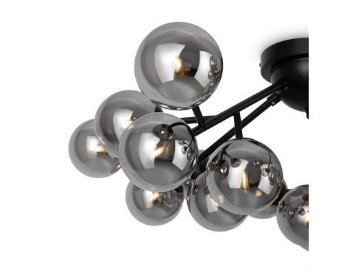 Потолочный светильник Maytoni MOD545CL-20B