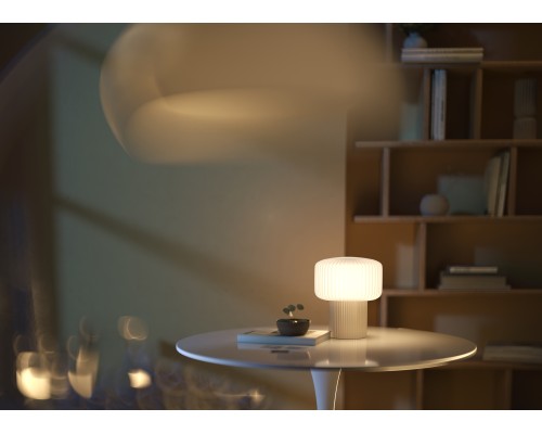 Настольный светильник Maytoni MOD404TL-01BG