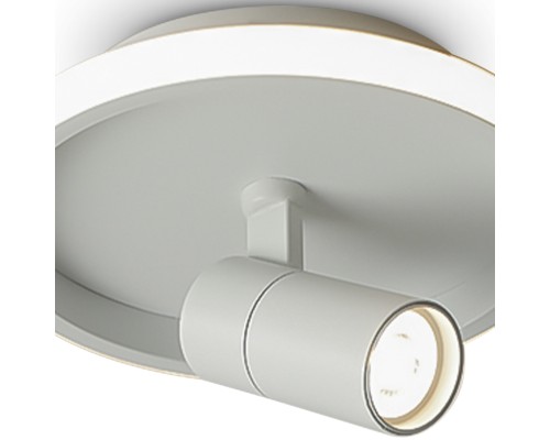 Потолочный светильник Freya FR6040CL-L14W