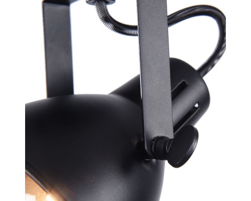 Спот лофт Freya Ibbi FR4276-CW-01-B черный