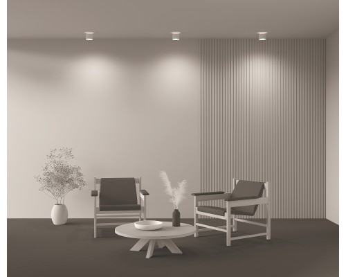 Потолочный светильник Technical C009CW-L12W