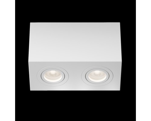 Потолочный светильник Technical C017CL-02W