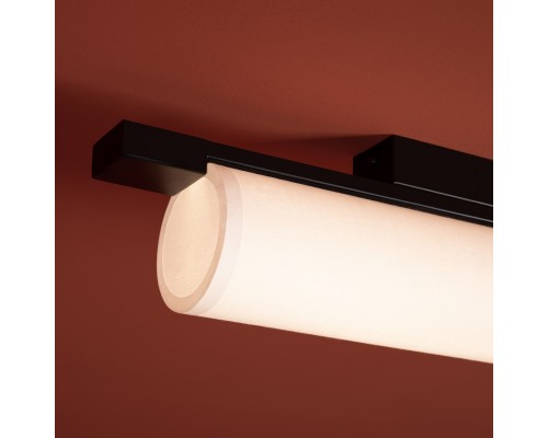 Потолочный светильник Freya FR5625CL-L20B