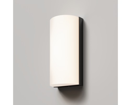 Настенный светильник (бра) Outdoor O454WL-L10GF3K1