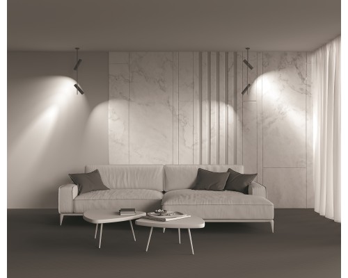 Потолочный светильник Technical C021CL-02B