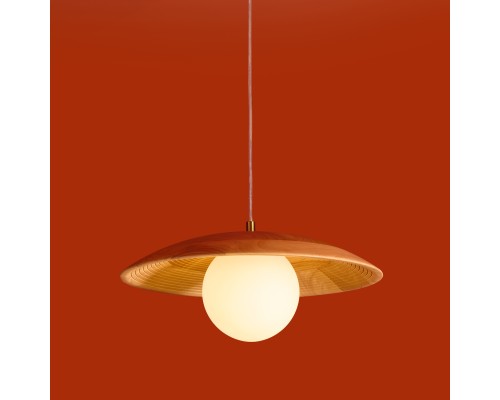 Подвесной светильник Freya FR5589PL-01T