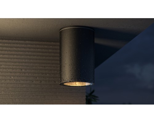 Потолочный светильник Outdoor O307CL-01B