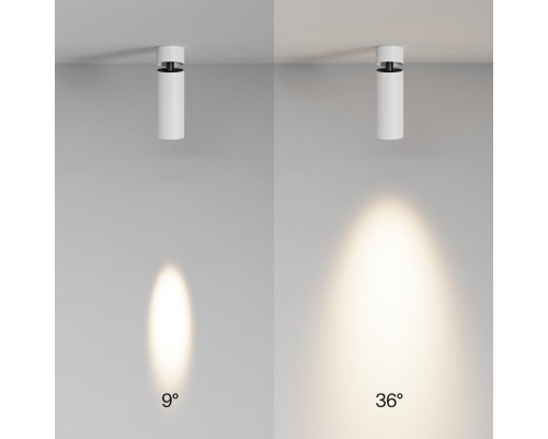 Потолочный светильник Technical C055CL-L12W3K-SS-W