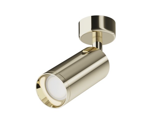 Потолочный светильник Technical C017CW-01G