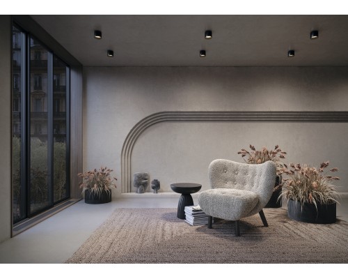 Потолочный светильник Technical C009CW-L12B