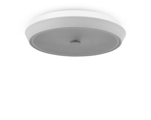 Потолочная светодиодная люстра Freya Cells FR10012CL-L24W