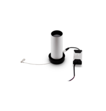 Потолочный светильник Technical C057CL-L12W3K