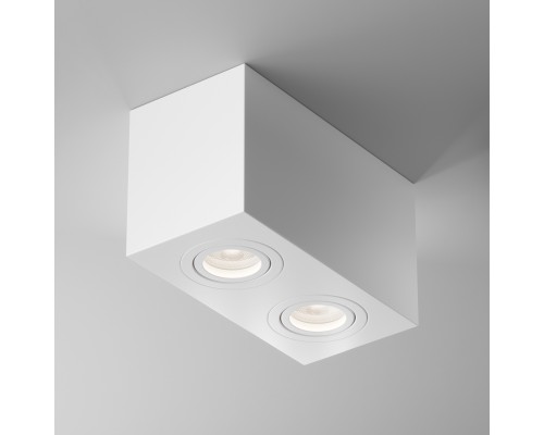 Потолочный светильник Technical C017CL-02W