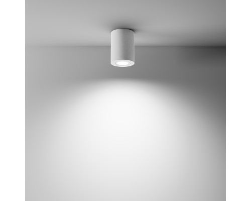 Потолочный светильник Technical C016CL-01W