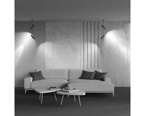 Потолочный светильник Technical C021CL-02B